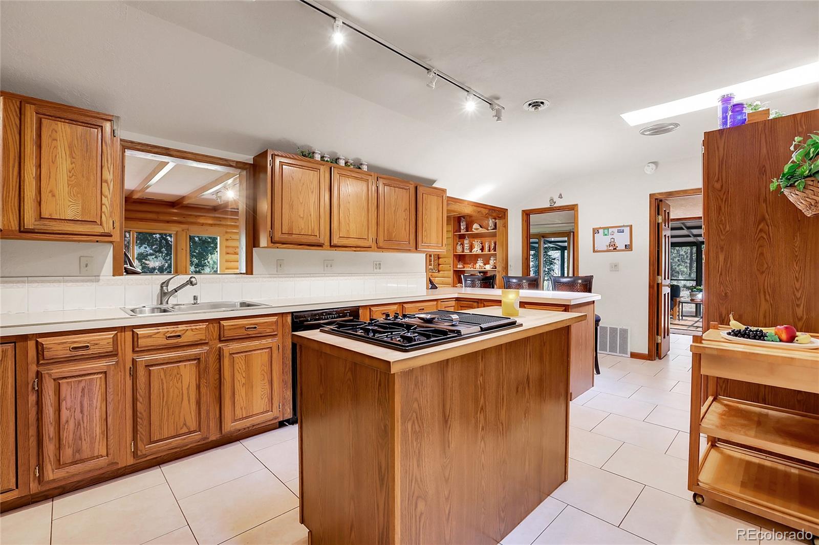 MLS Image #17 for 13009 s parker avenue,pine, Colorado