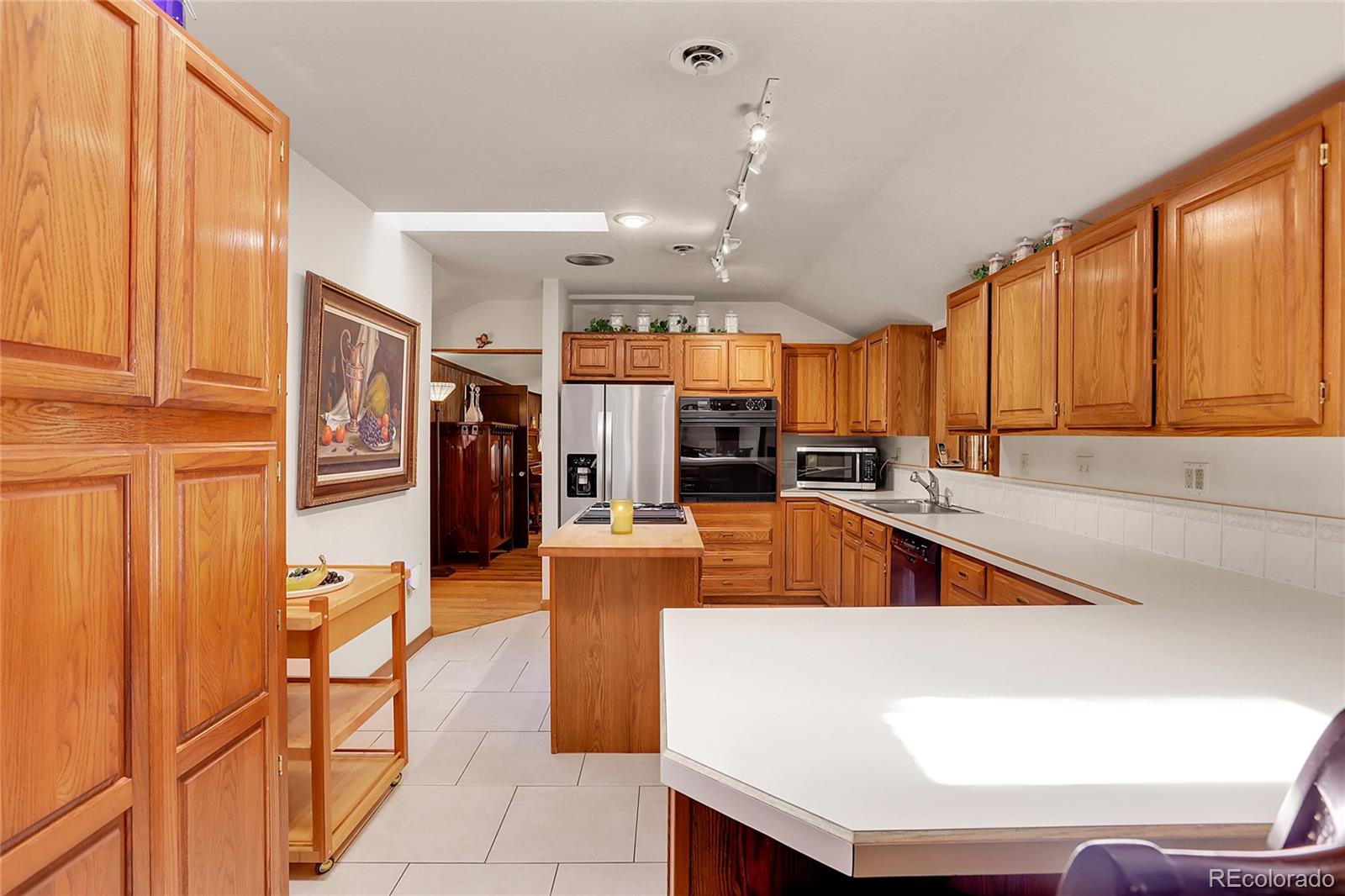 MLS Image #19 for 13009 s parker avenue,pine, Colorado