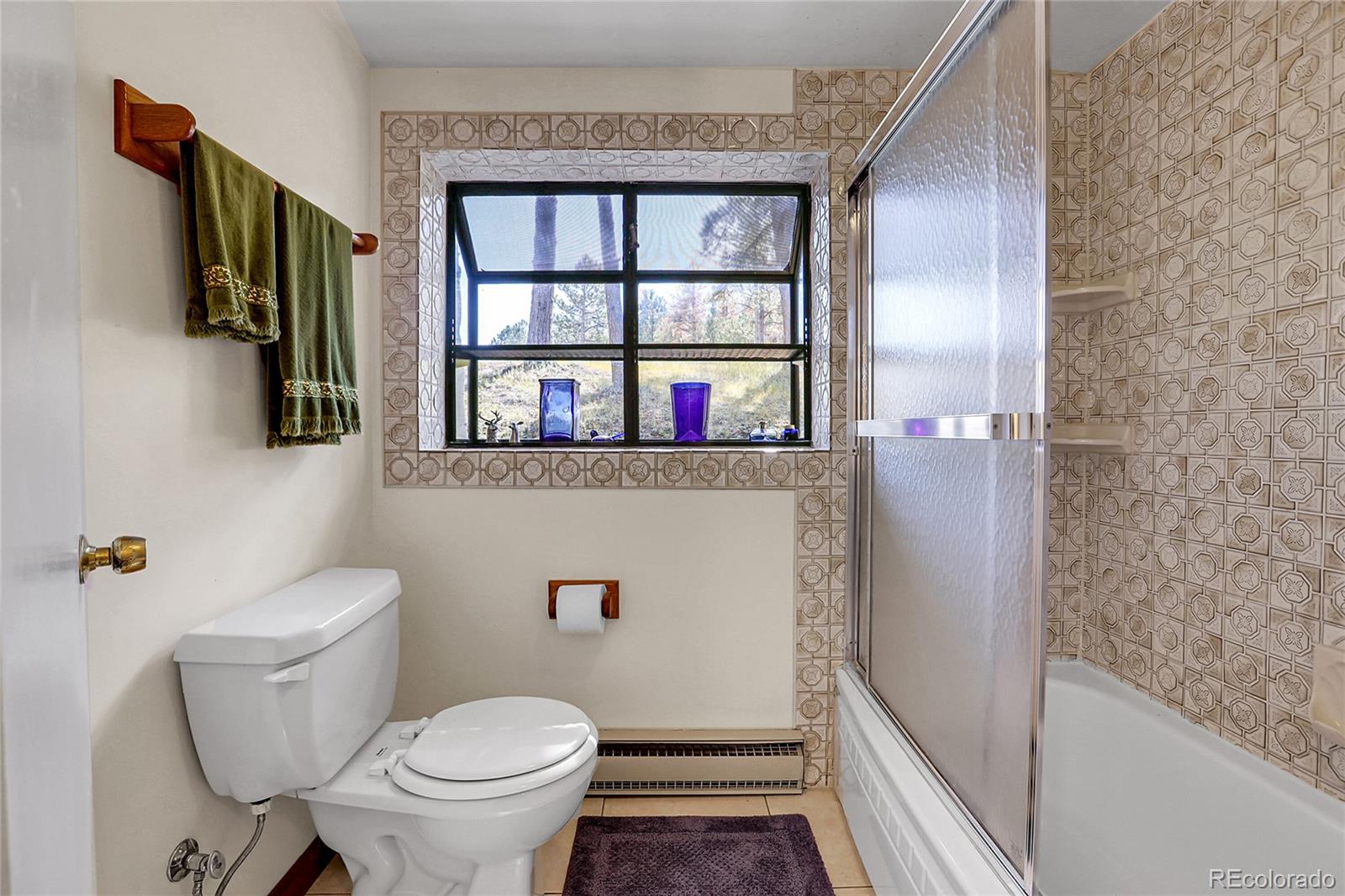 MLS Image #31 for 13009 s parker avenue,pine, Colorado