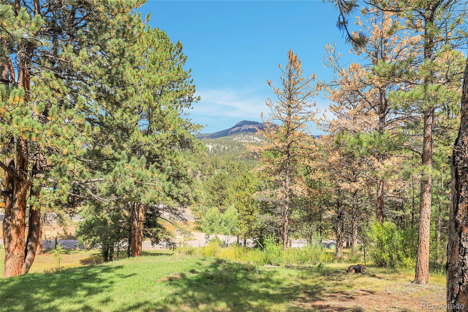 MLS Image #42 for 13009 s parker avenue,pine, Colorado