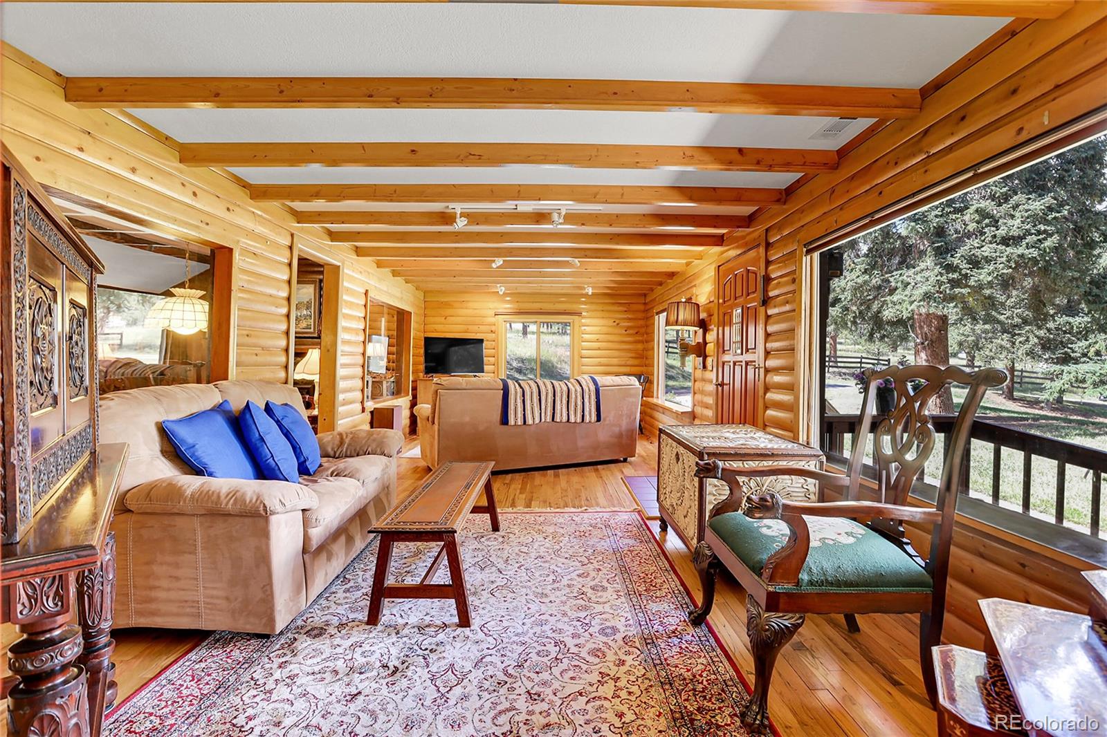 MLS Image #6 for 13009 s parker avenue,pine, Colorado