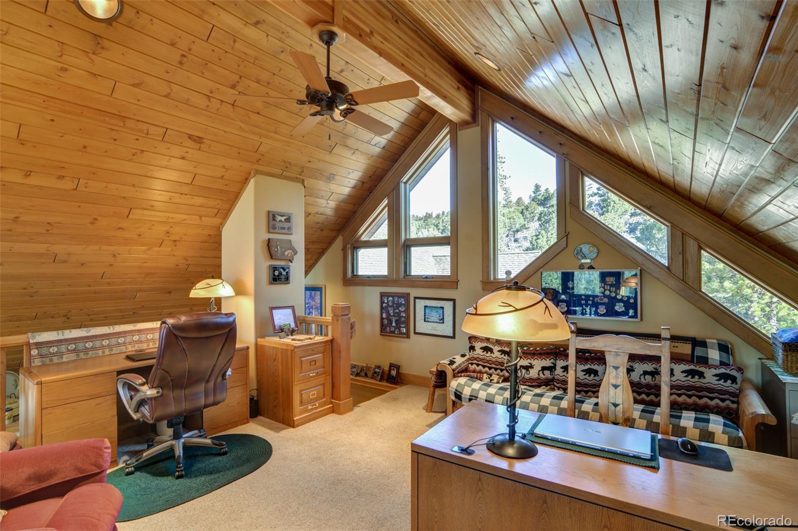 MLS Image #26 for 30054  creek run,buena vista, Colorado