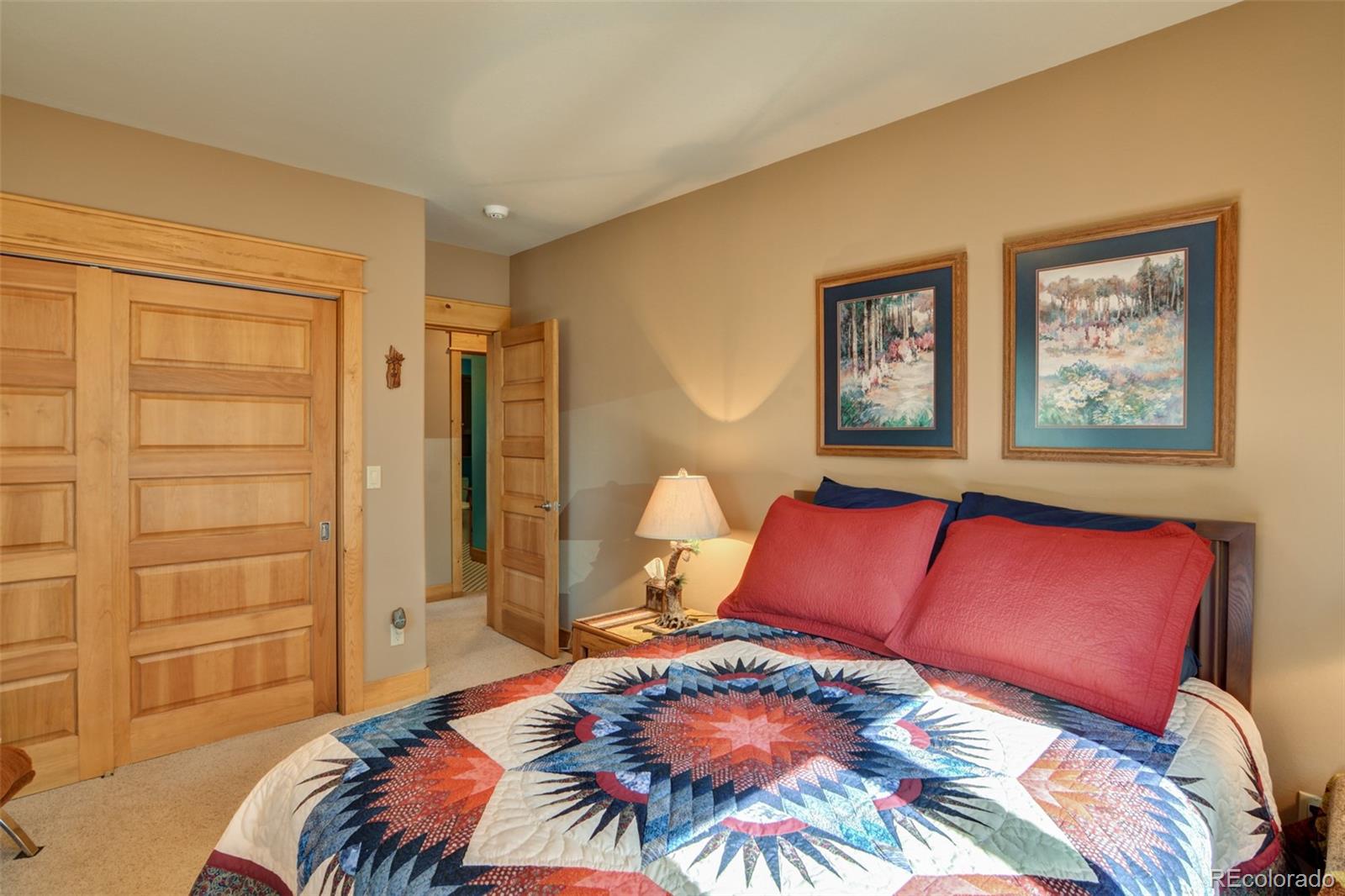MLS Image #31 for 30054  creek run,buena vista, Colorado