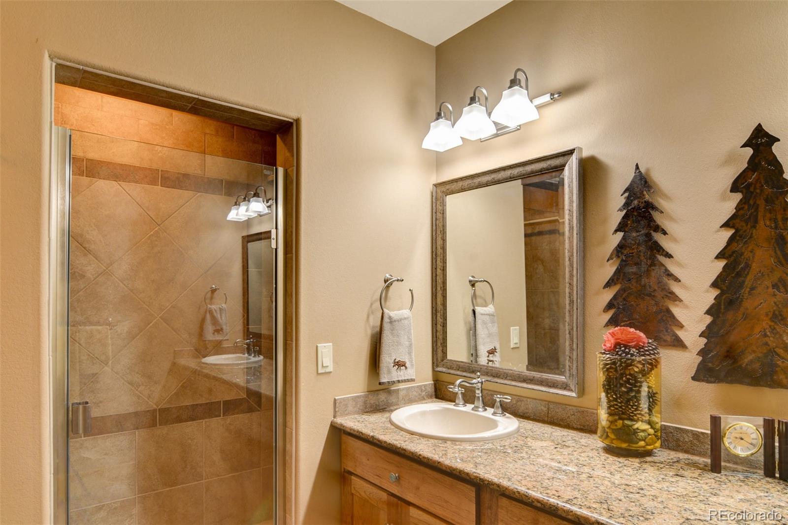 MLS Image #33 for 30054  creek run,buena vista, Colorado
