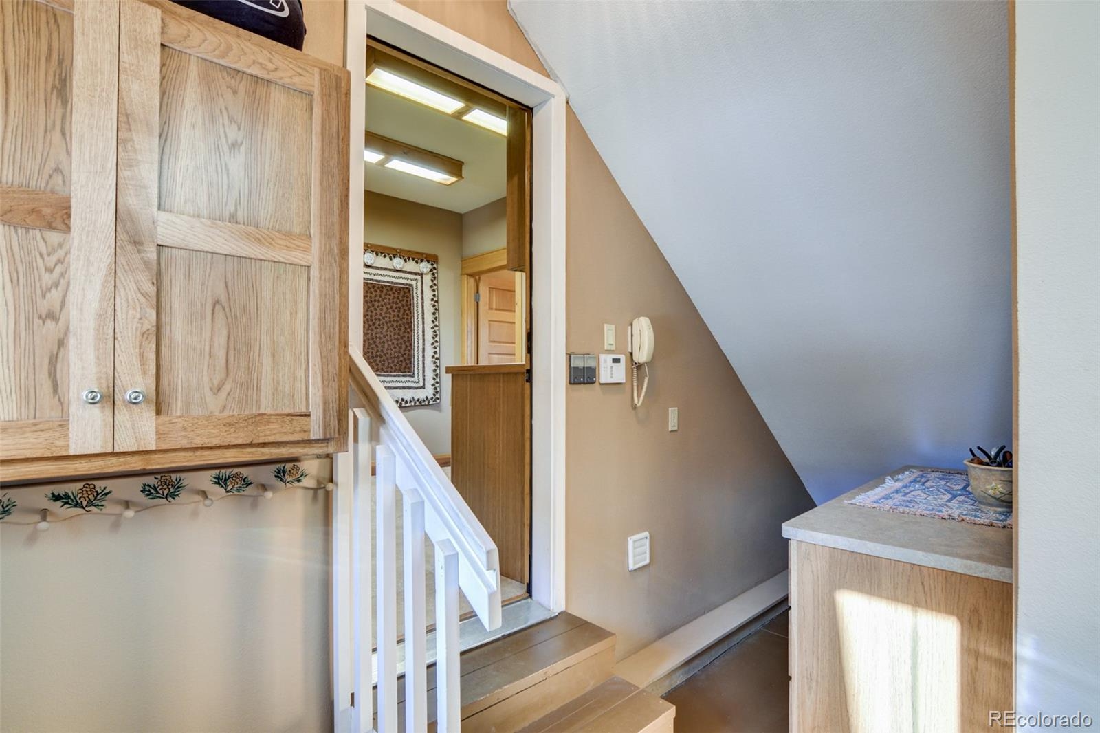 MLS Image #38 for 30054  creek run,buena vista, Colorado