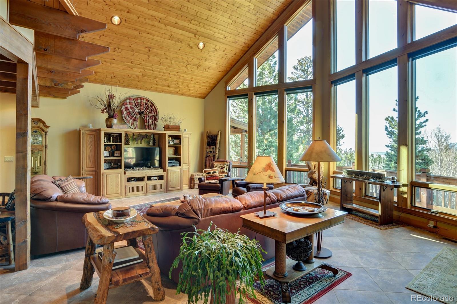 MLS Image #6 for 30054  creek run,buena vista, Colorado