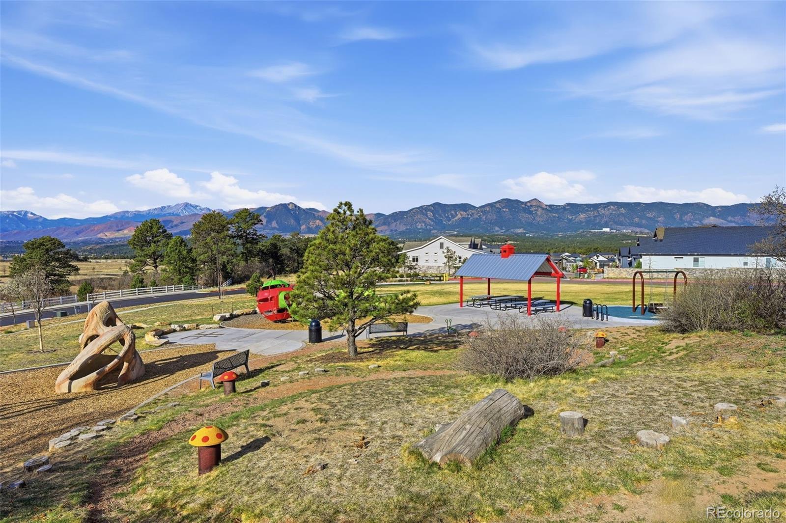MLS Image #34 for 11915  alydar loop,colorado springs, Colorado