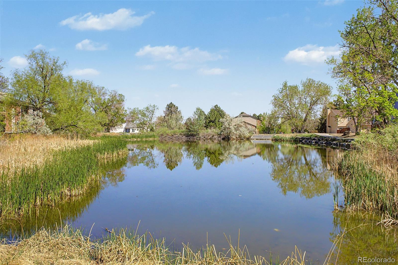 MLS Image #23 for 12100  melody drive,denver, Colorado