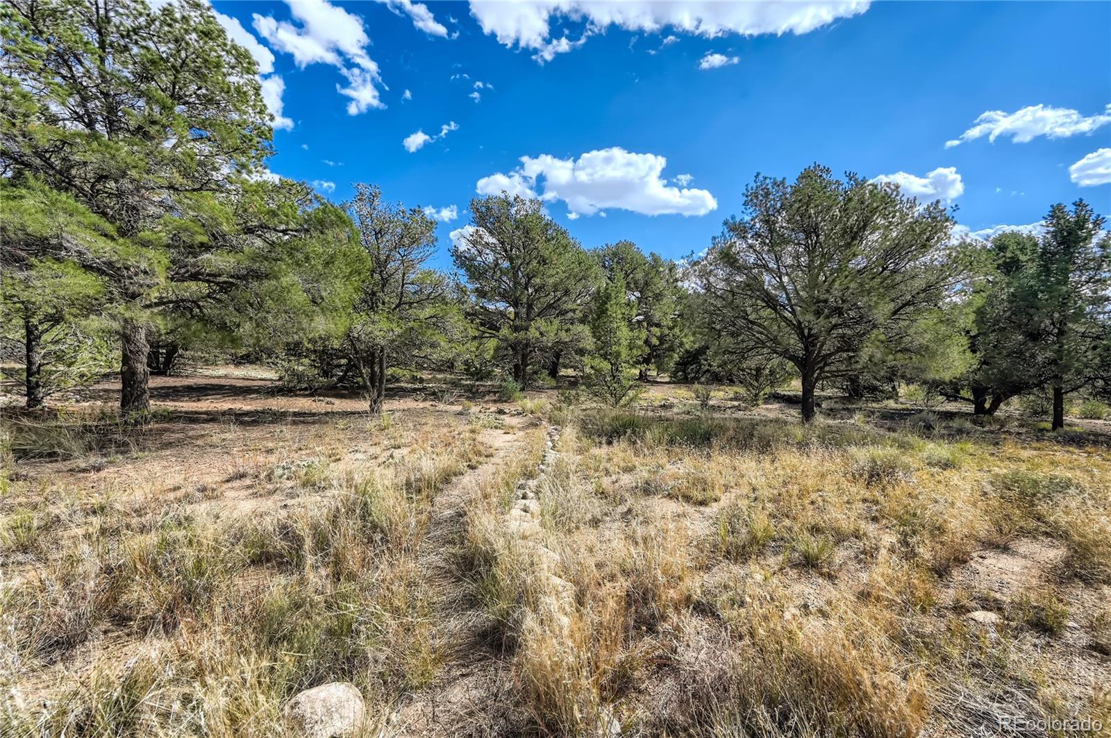 MLS Image #22 for 1366  chaparral way,crestone, Colorado