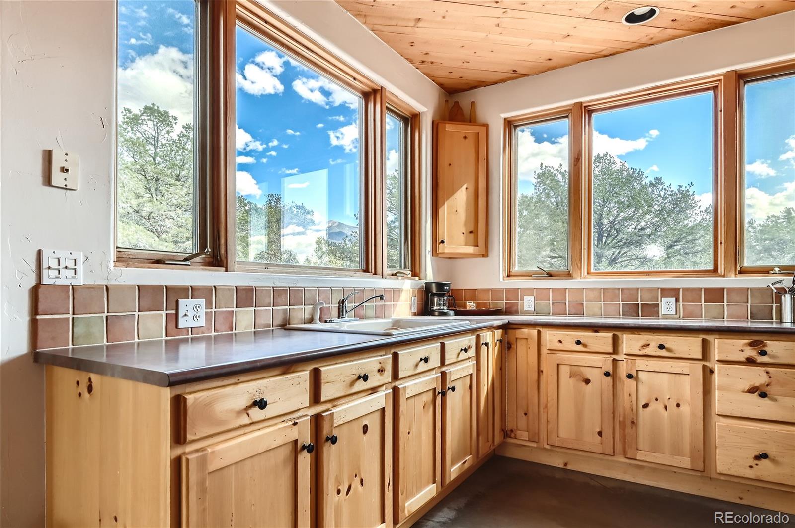 MLS Image #26 for 1366  chaparral way,crestone, Colorado