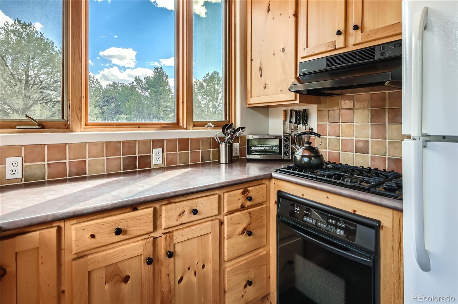 MLS Image #27 for 1366  chaparral way,crestone, Colorado