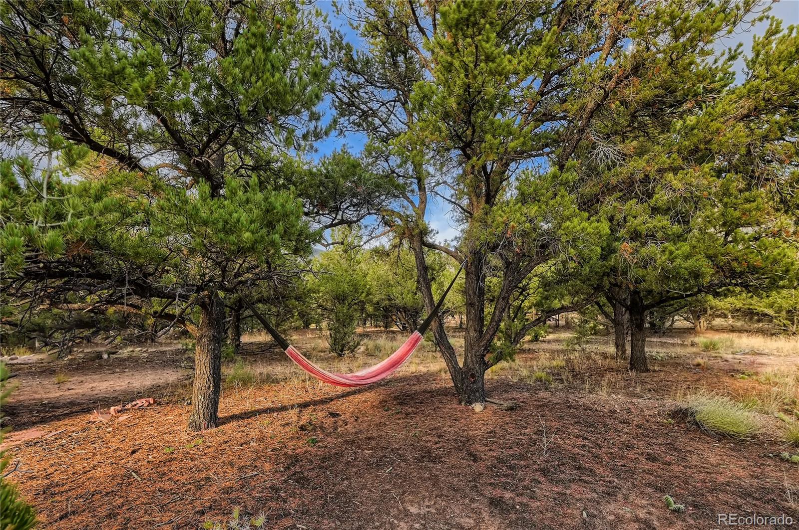 MLS Image #38 for 1366  chaparral way,crestone, Colorado