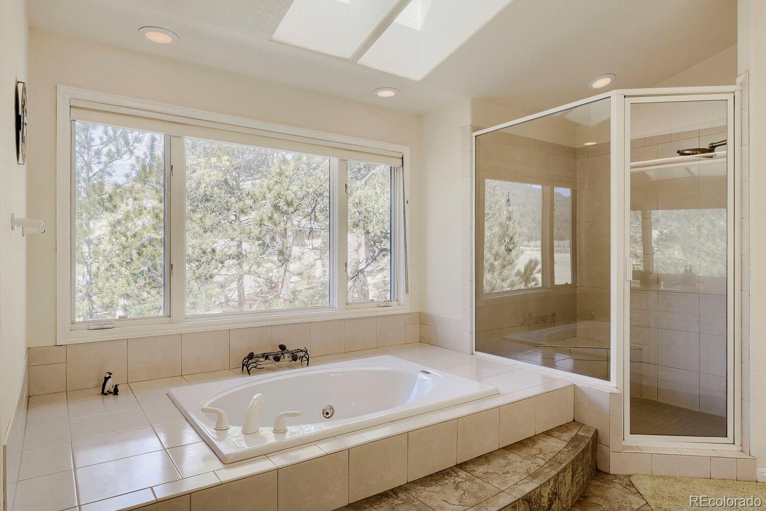 MLS Image #23 for 32680  el diente court,evergreen, Colorado