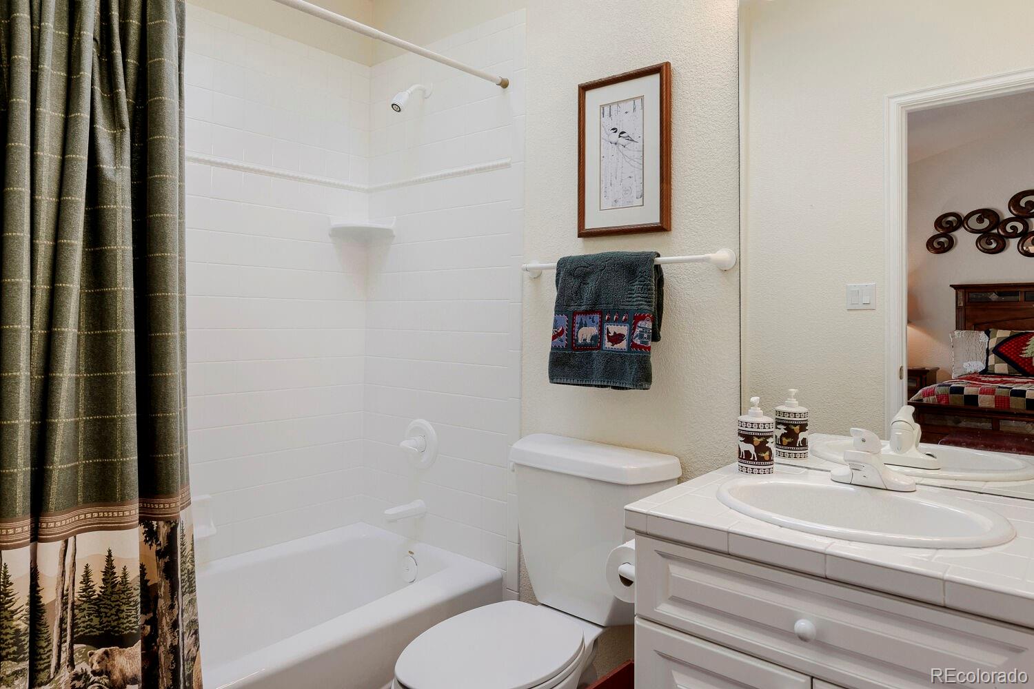 MLS Image #29 for 32680  el diente court,evergreen, Colorado