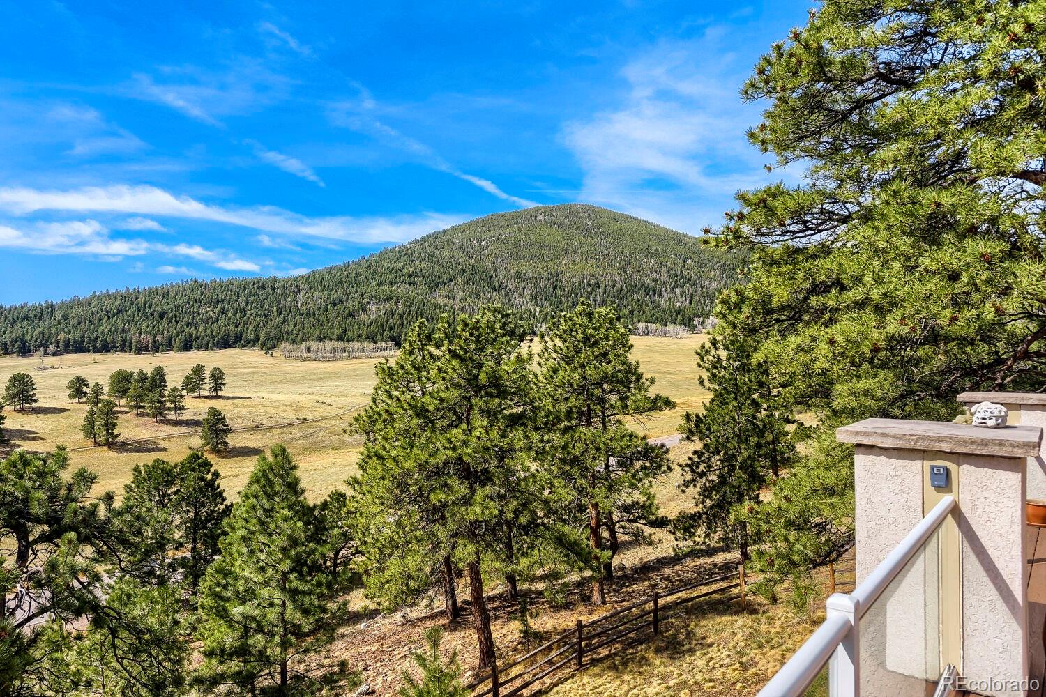 MLS Image #3 for 32680  el diente court,evergreen, Colorado