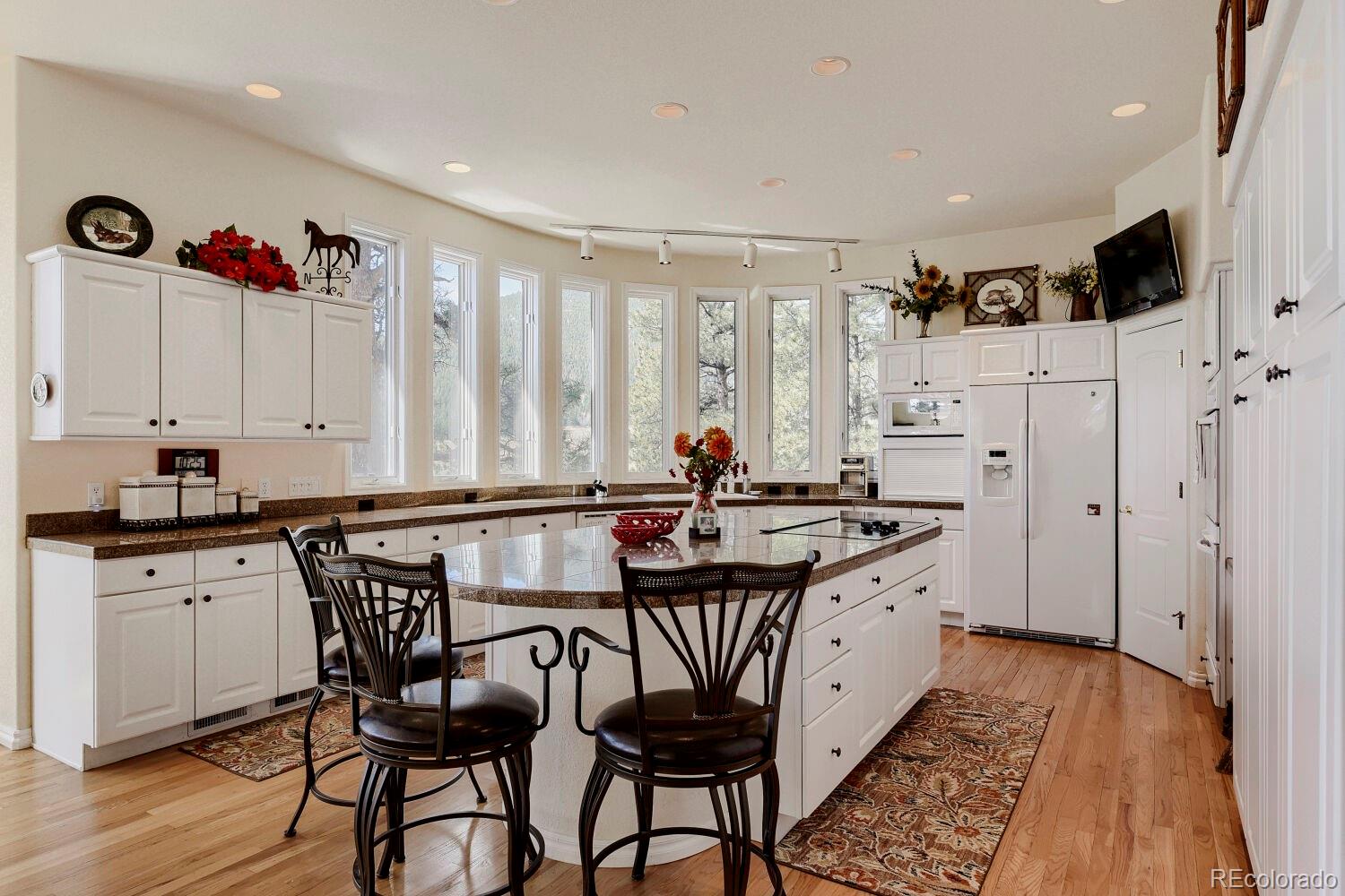 MLS Image #5 for 32680  el diente court,evergreen, Colorado