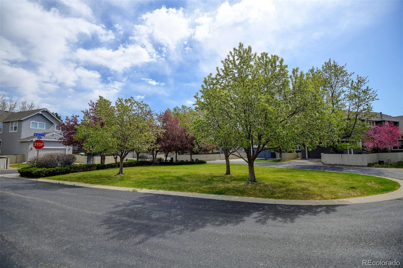 MLS Image #30 for 14018  summer bay lane,broomfield, Colorado