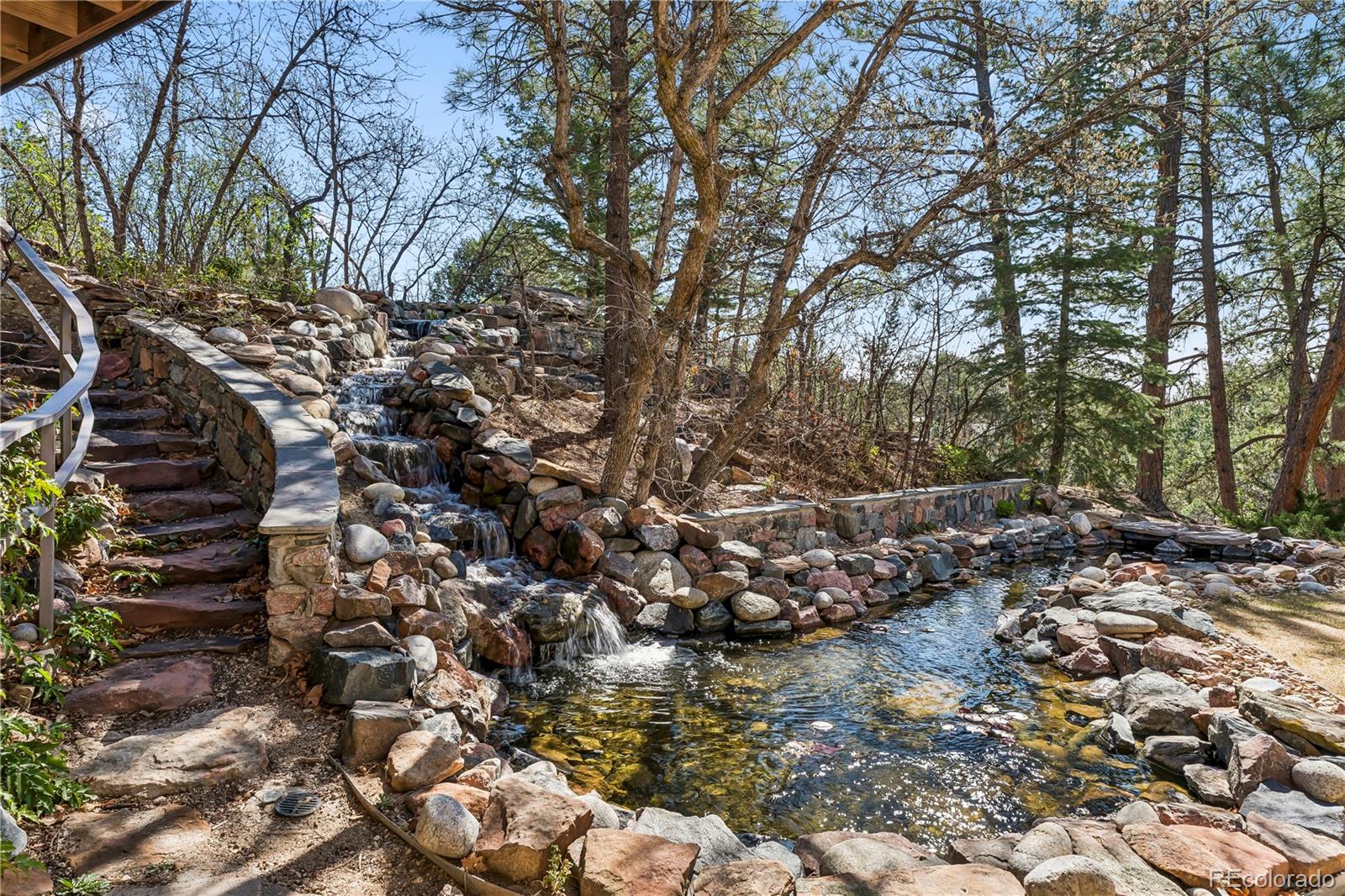 MLS Image #1 for 234  lead king drive,castle rock, Colorado