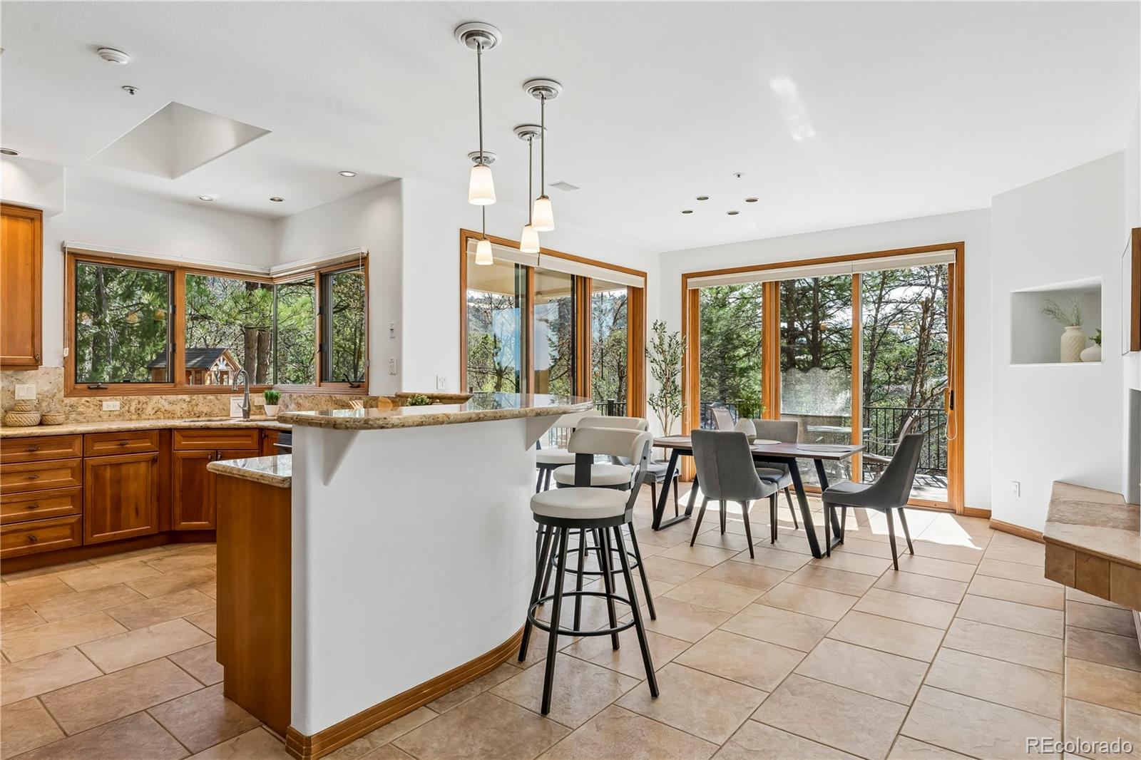 MLS Image #10 for 234  lead king drive,castle rock, Colorado