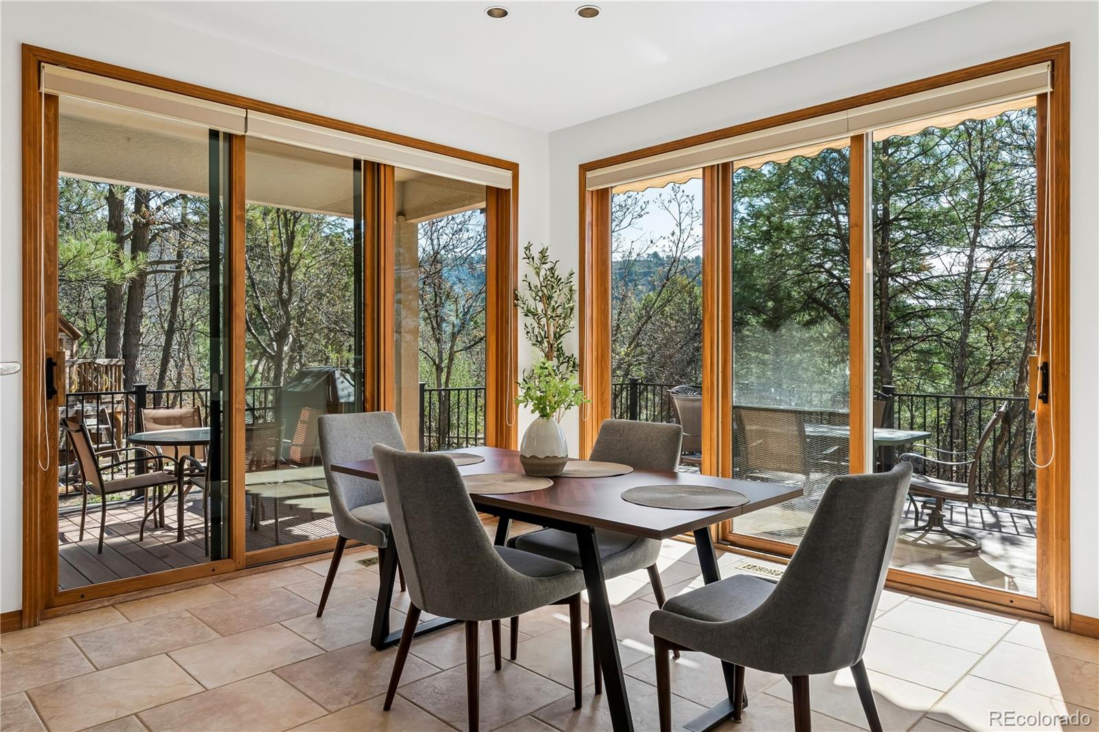 MLS Image #11 for 234  lead king drive,castle rock, Colorado