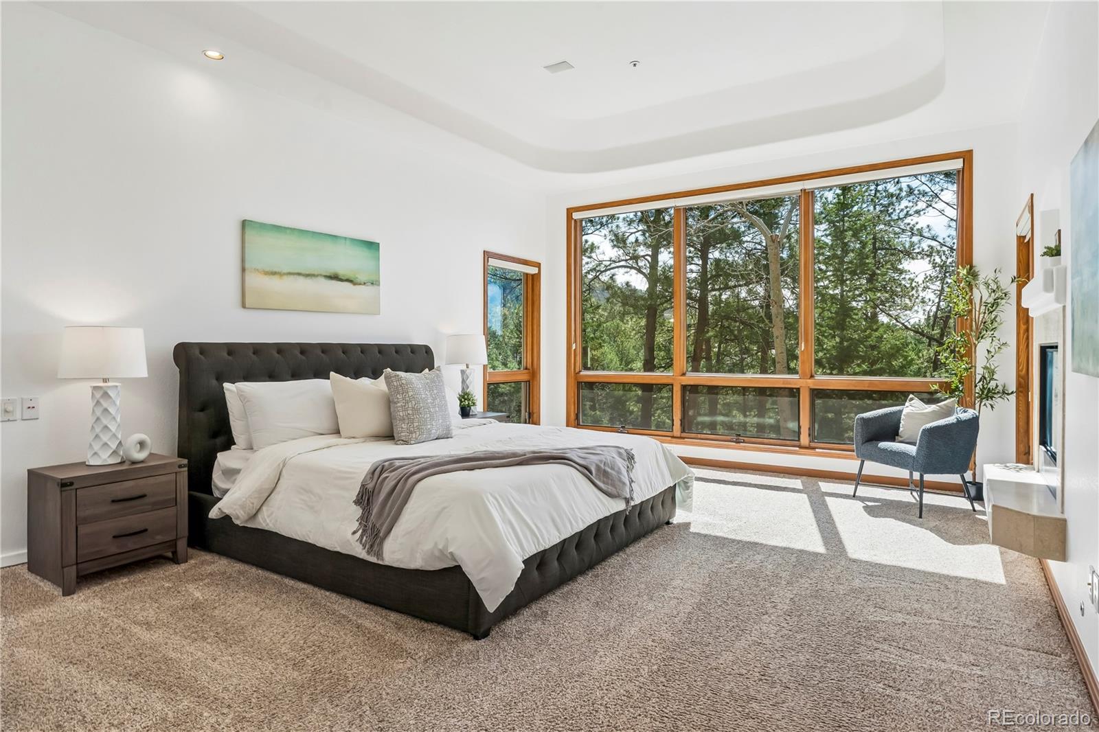 MLS Image #15 for 234  lead king drive,castle rock, Colorado