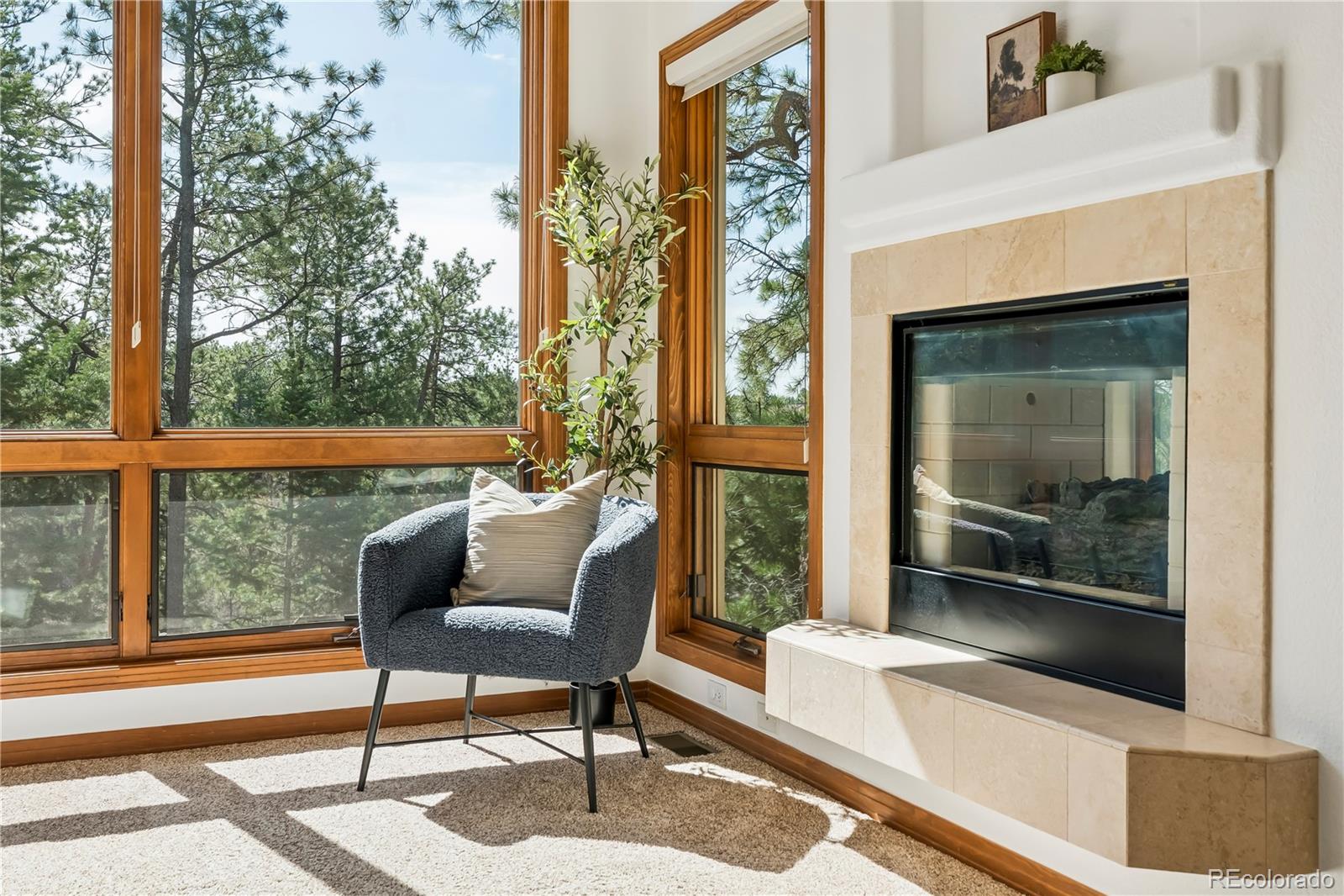 MLS Image #17 for 234  lead king drive,castle rock, Colorado