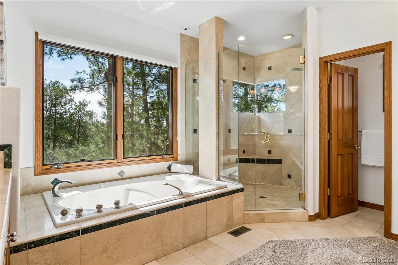 MLS Image #18 for 234  lead king drive,castle rock, Colorado
