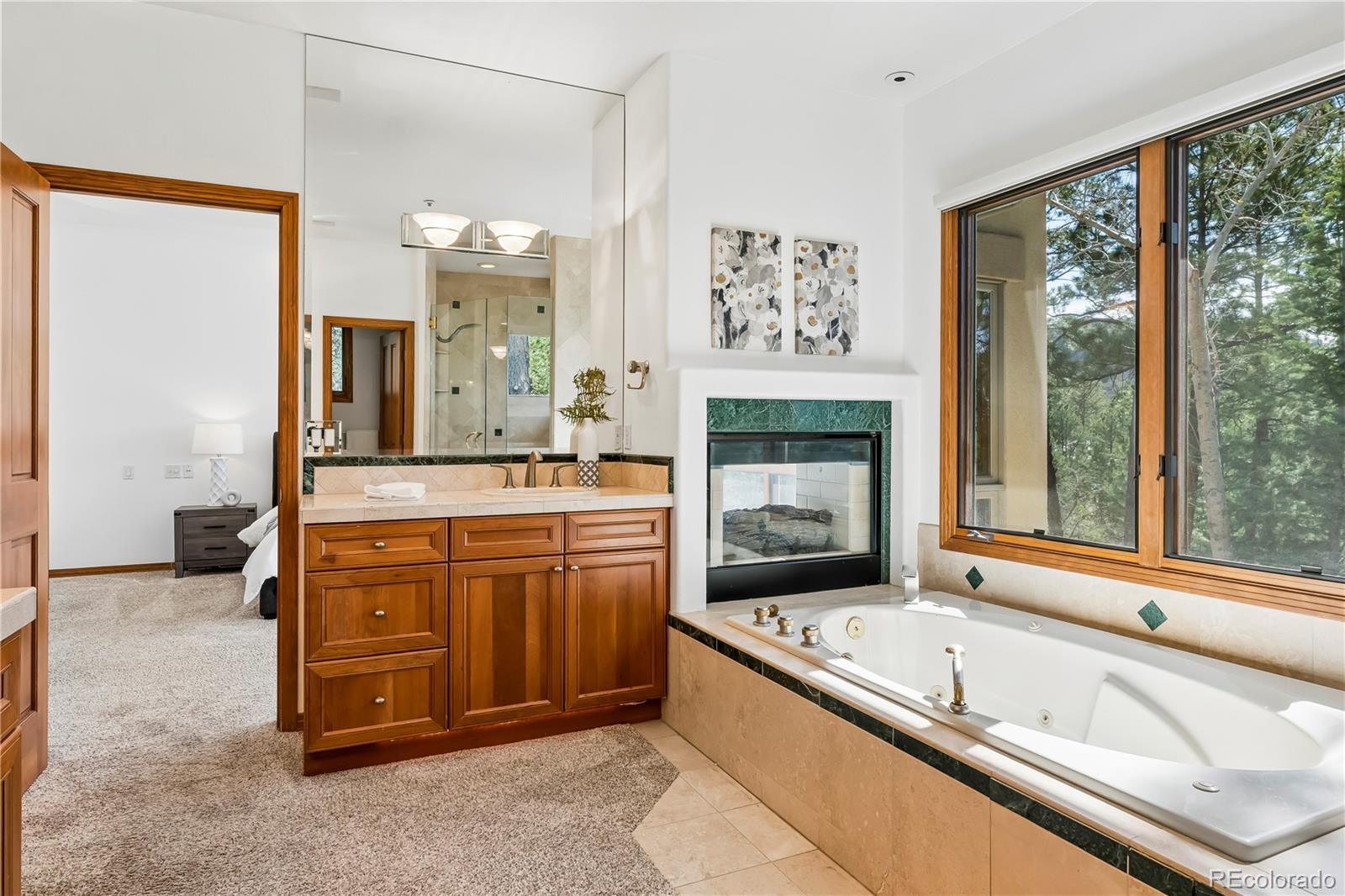 MLS Image #19 for 234  lead king drive,castle rock, Colorado