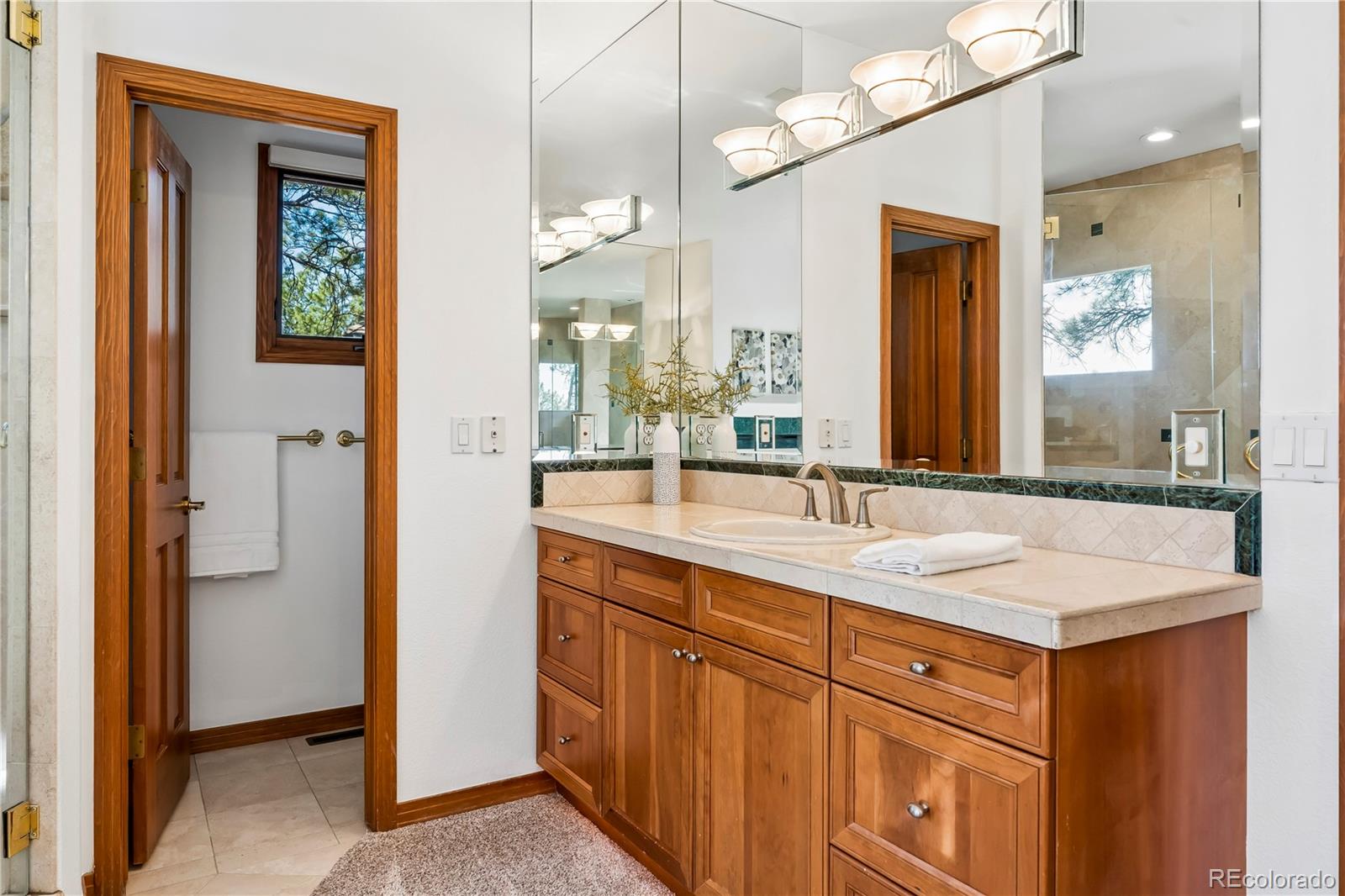MLS Image #20 for 234  lead king drive,castle rock, Colorado