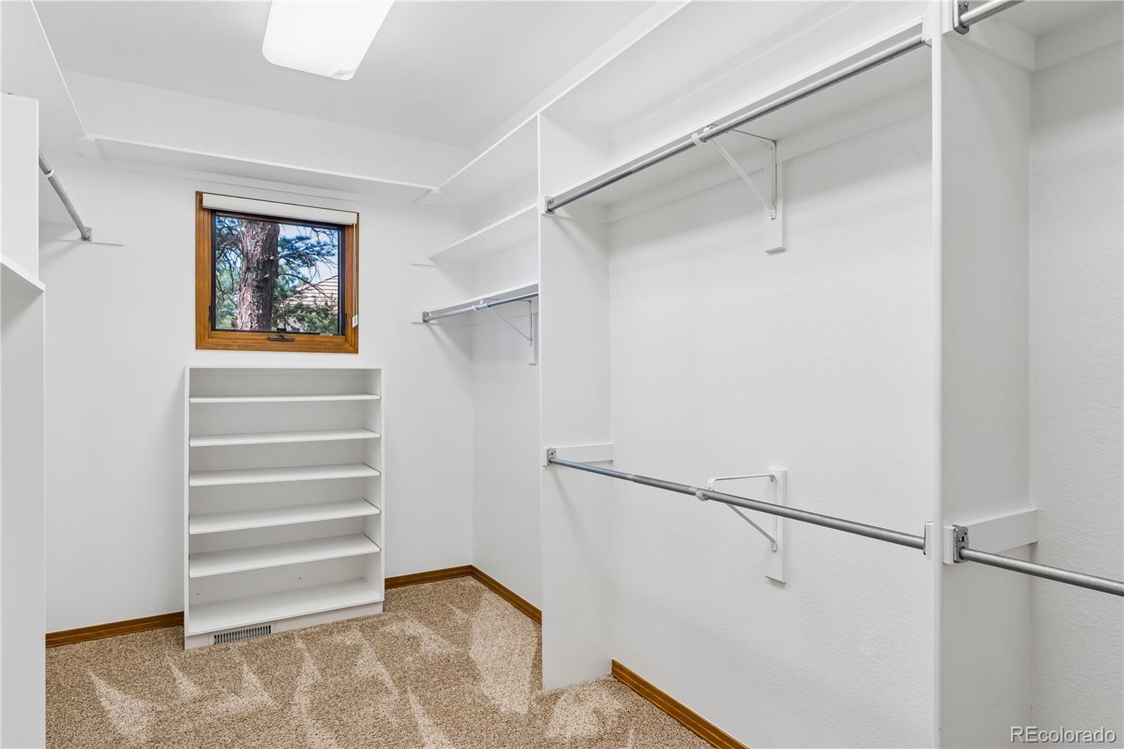 MLS Image #21 for 234  lead king drive,castle rock, Colorado