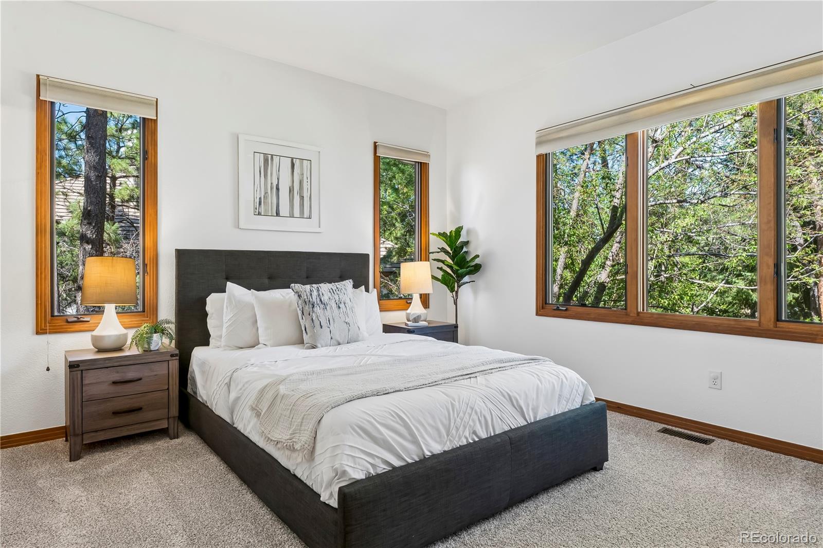 MLS Image #22 for 234  lead king drive,castle rock, Colorado