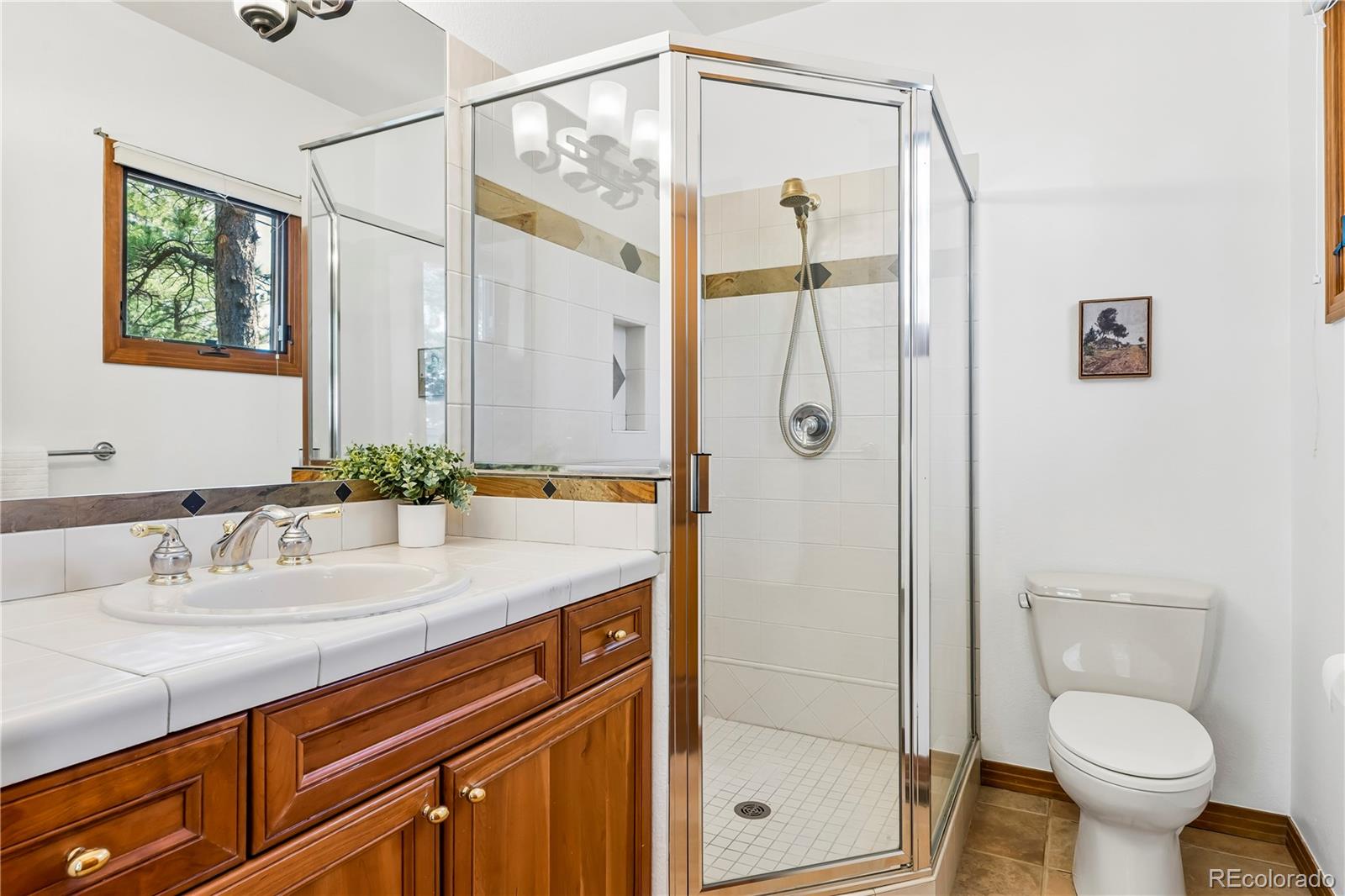 MLS Image #23 for 234  lead king drive,castle rock, Colorado