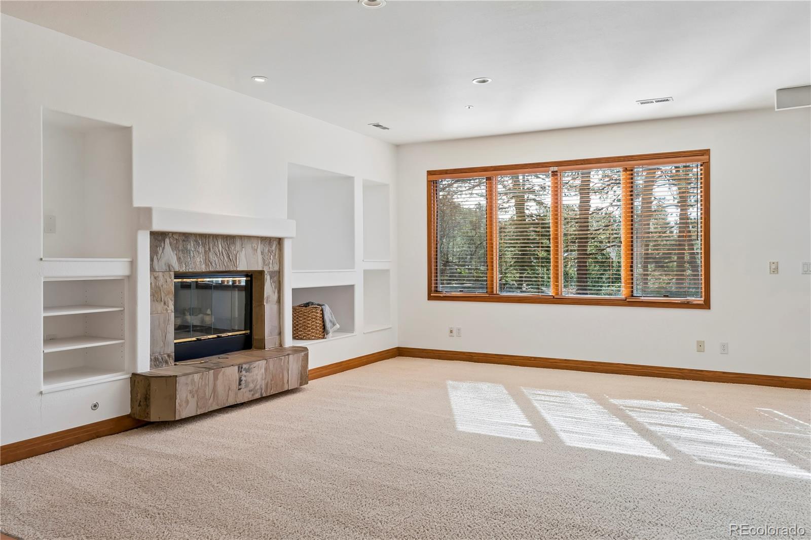 MLS Image #29 for 234  lead king drive,castle rock, Colorado