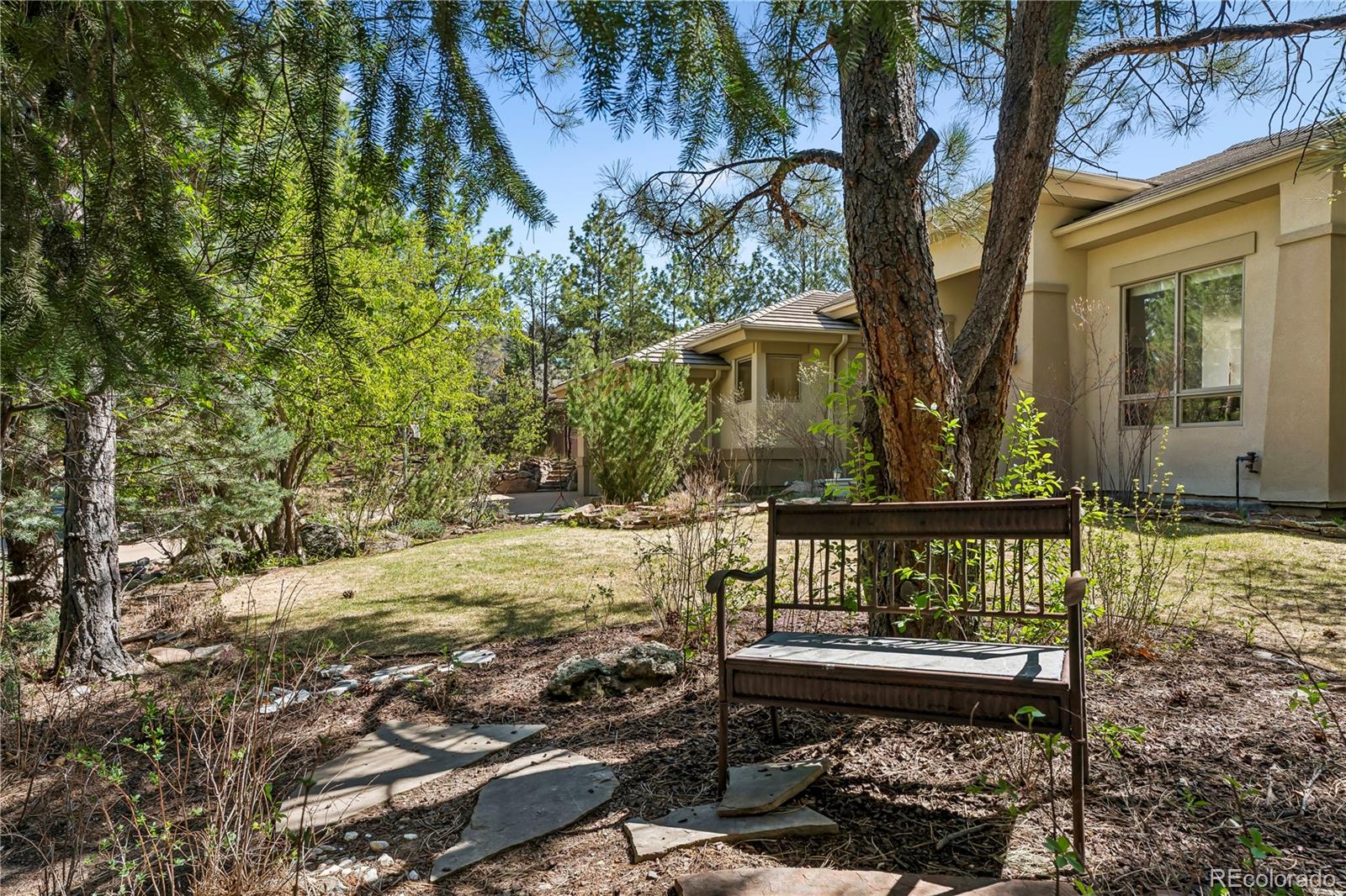 MLS Image #3 for 234  lead king drive,castle rock, Colorado