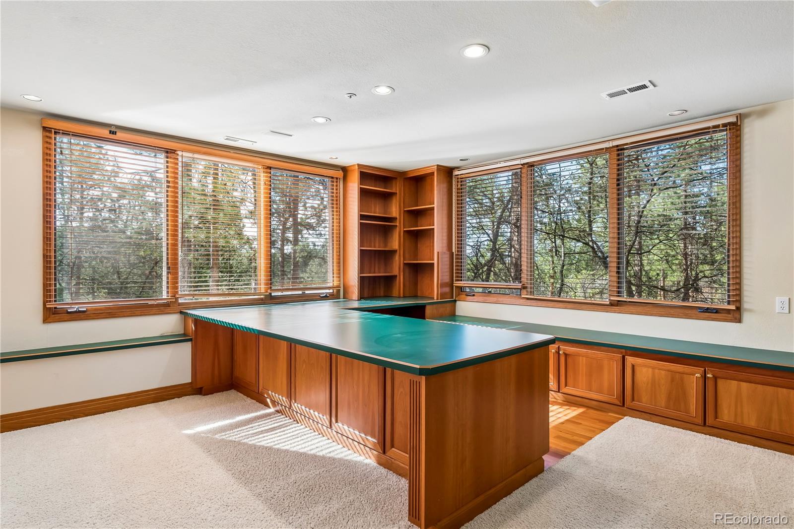 MLS Image #30 for 234  lead king drive,castle rock, Colorado