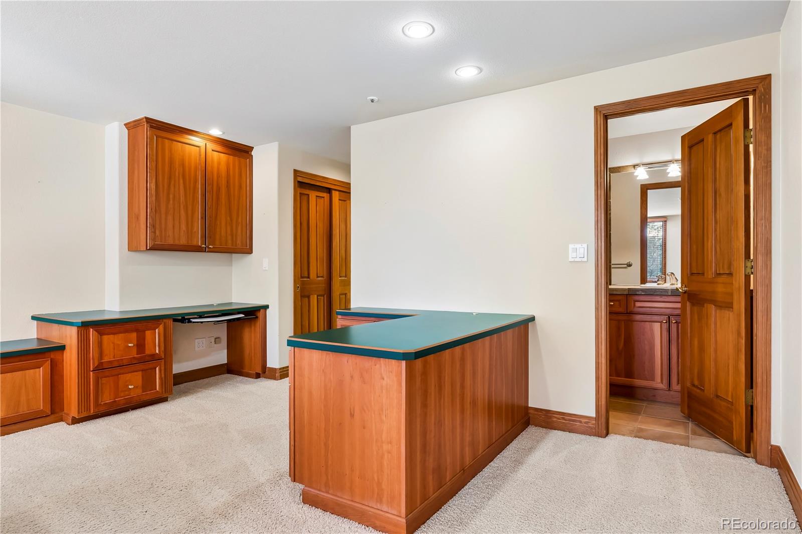 MLS Image #32 for 234  lead king drive,castle rock, Colorado