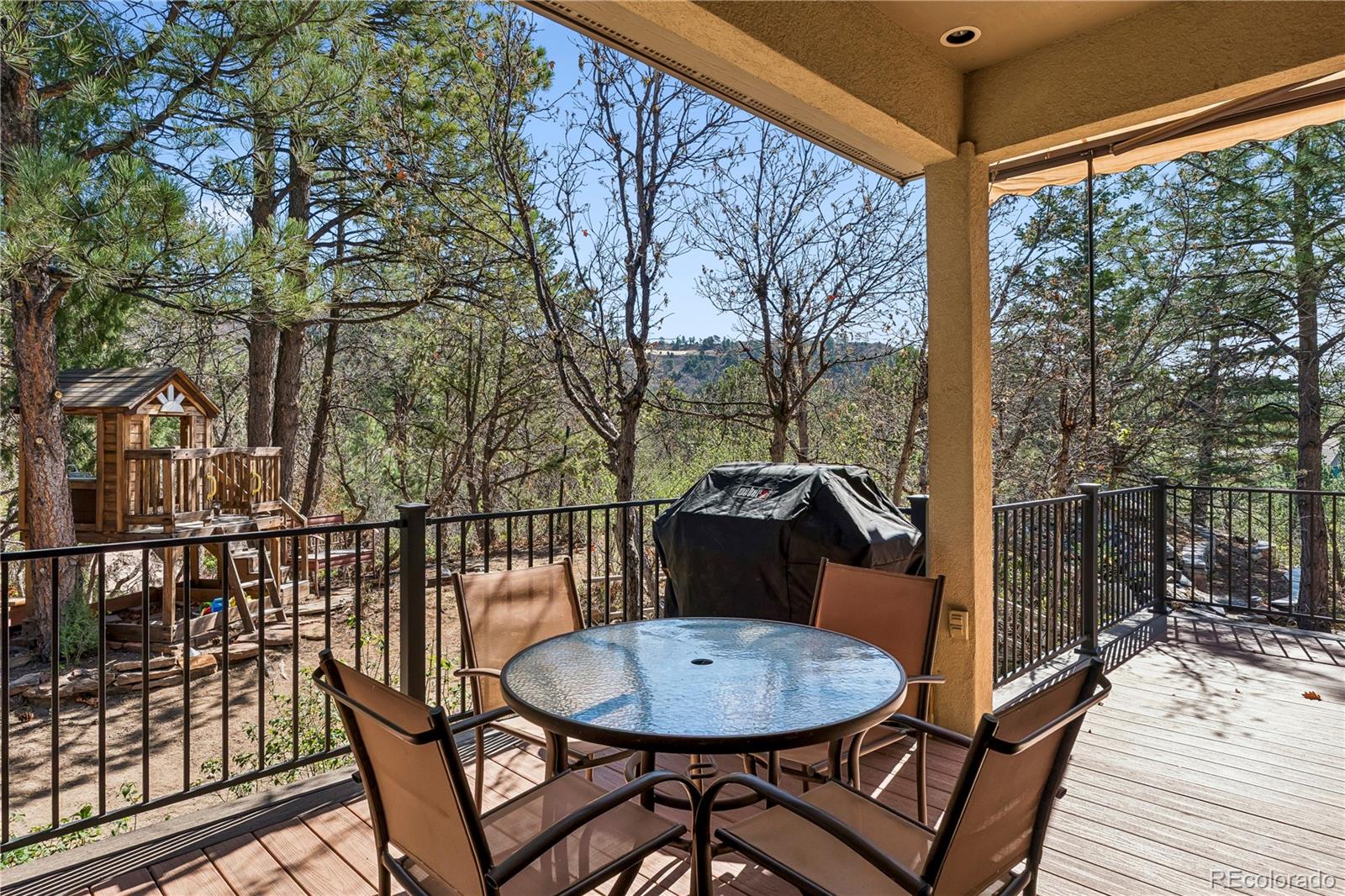 MLS Image #38 for 234  lead king drive,castle rock, Colorado