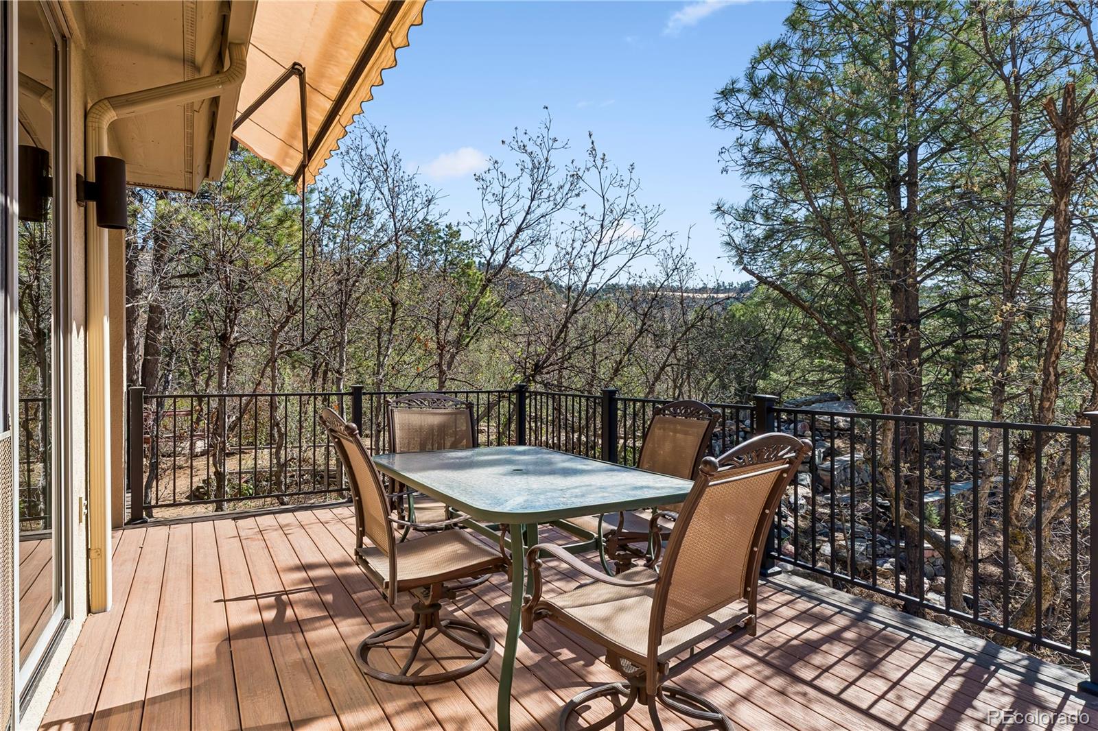 MLS Image #39 for 234  lead king drive,castle rock, Colorado