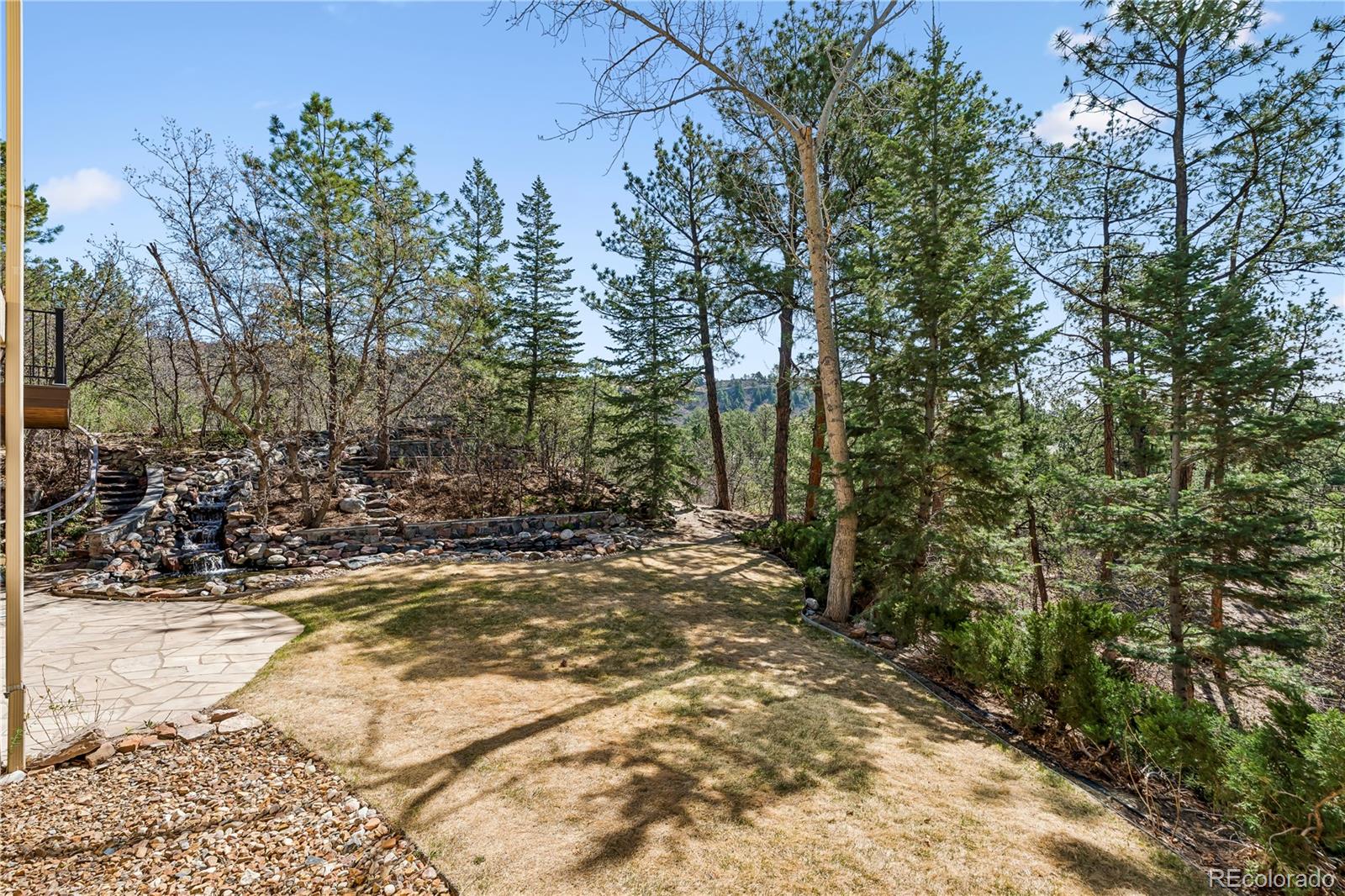 MLS Image #43 for 234  lead king drive,castle rock, Colorado