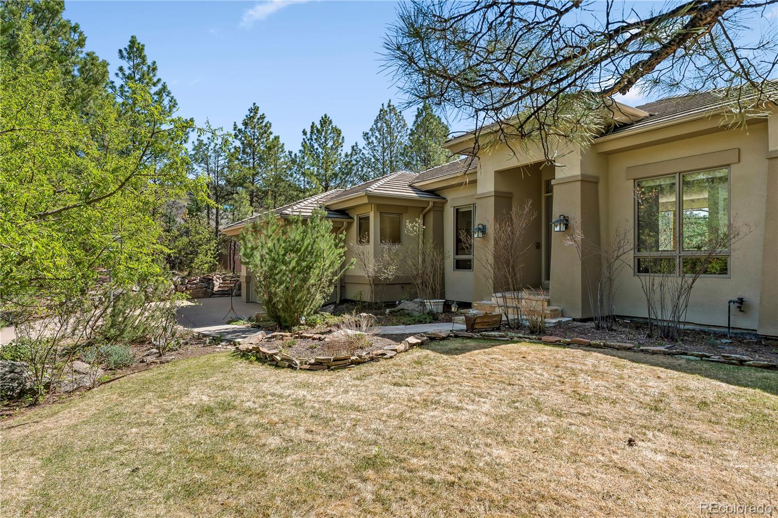 MLS Image #44 for 234  lead king drive,castle rock, Colorado