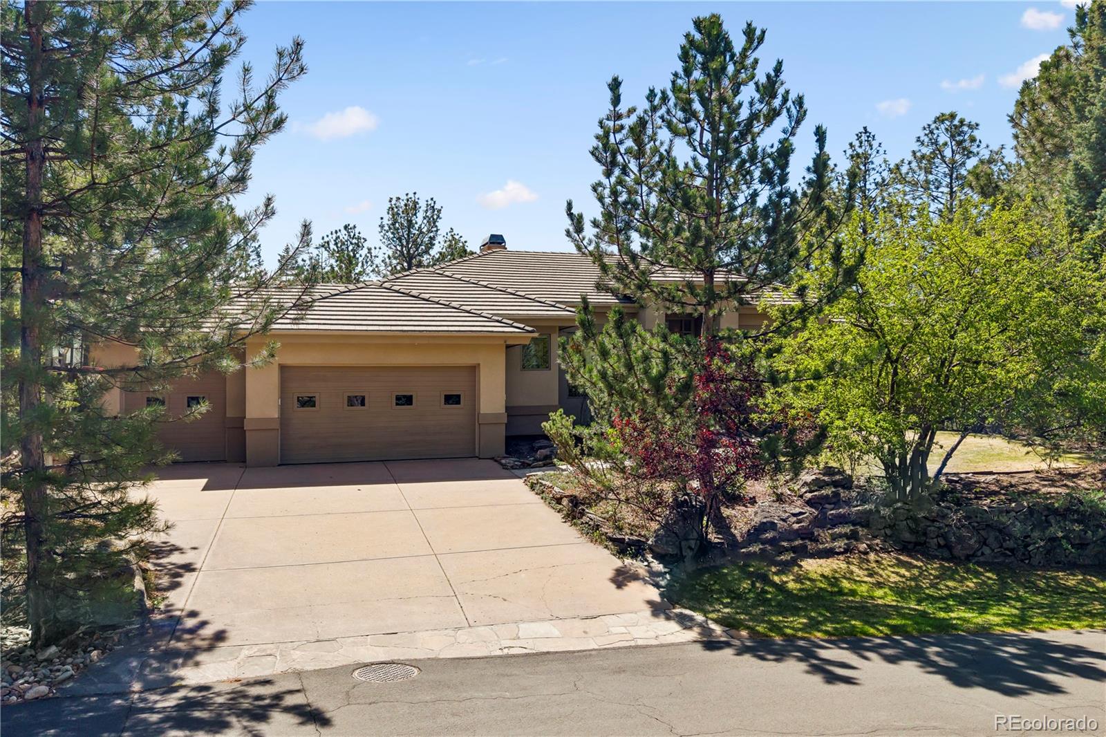 MLS Image #45 for 234  lead king drive,castle rock, Colorado