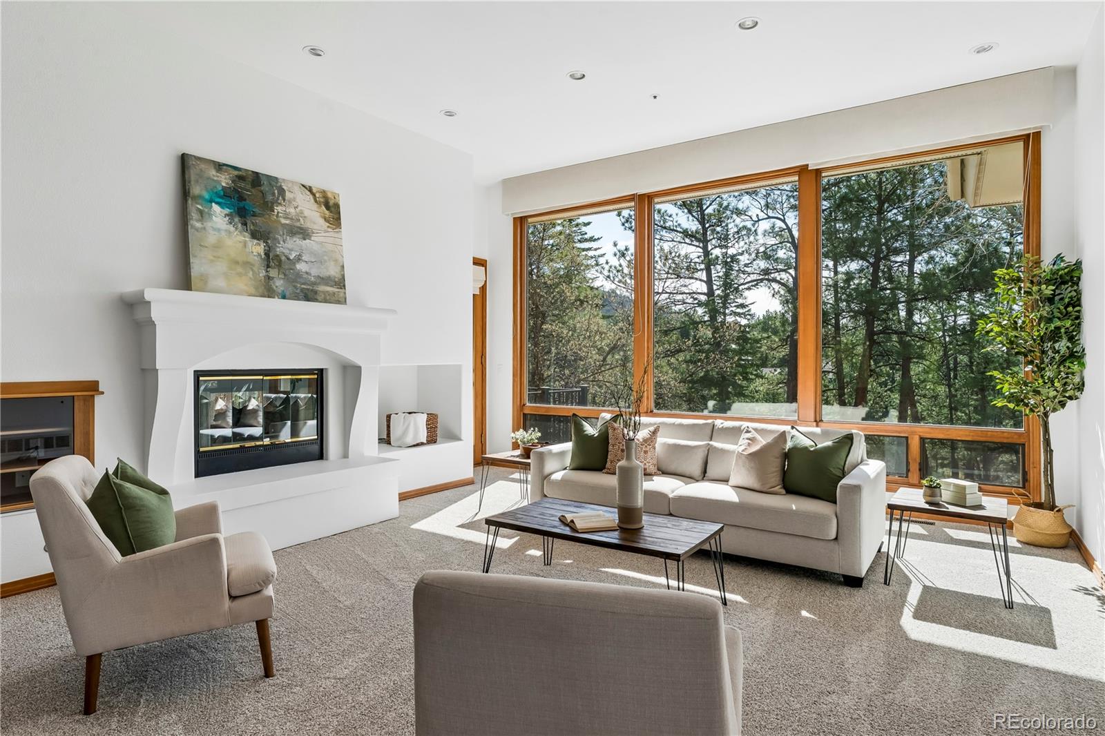 MLS Image #5 for 234  lead king drive,castle rock, Colorado