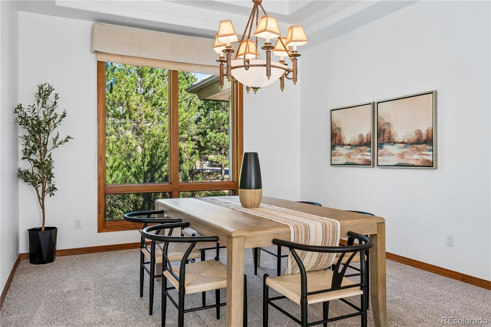 MLS Image #8 for 234  lead king drive,castle rock, Colorado
