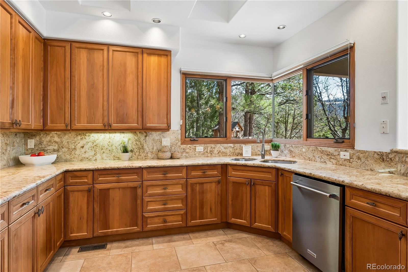 MLS Image #9 for 234  lead king drive,castle rock, Colorado