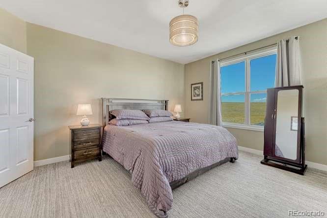 MLS Image #18 for 7482  patrick trail,elizabeth, Colorado