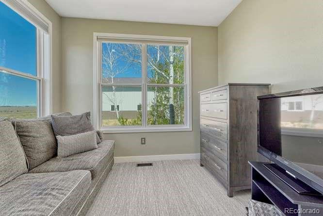 MLS Image #19 for 7482  patrick trail,elizabeth, Colorado
