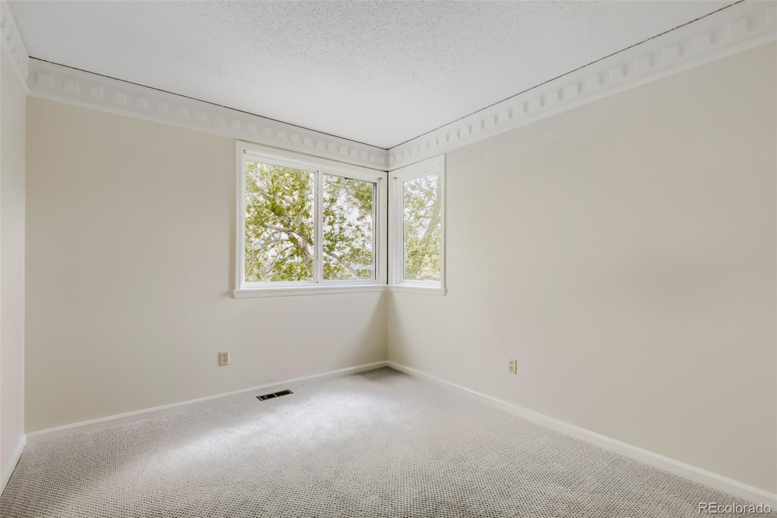 MLS Image #26 for 7005  newhall drive,highlands ranch, Colorado