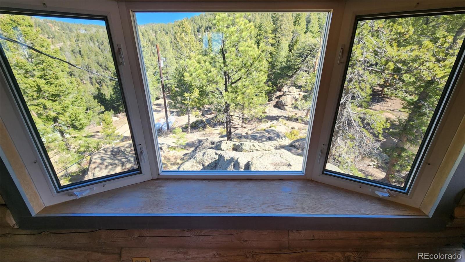 MLS Image #13 for 30851  pike view drive,conifer, Colorado
