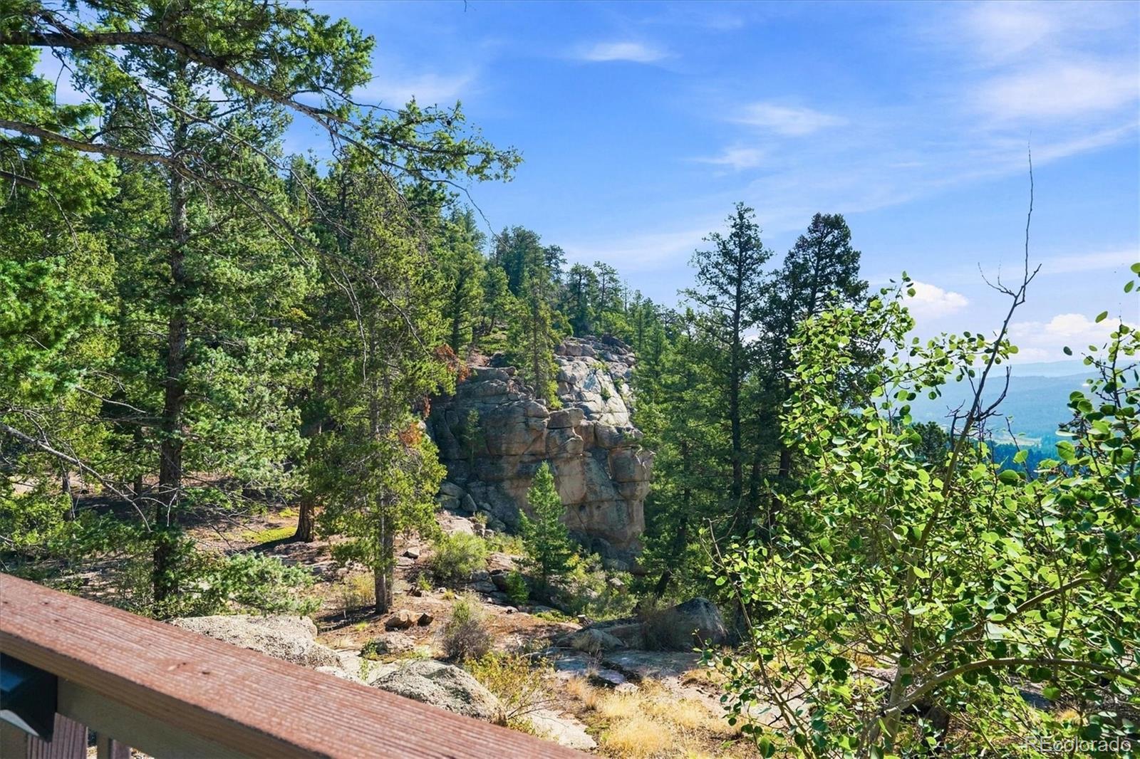 MLS Image #31 for 30851  pike view drive,conifer, Colorado
