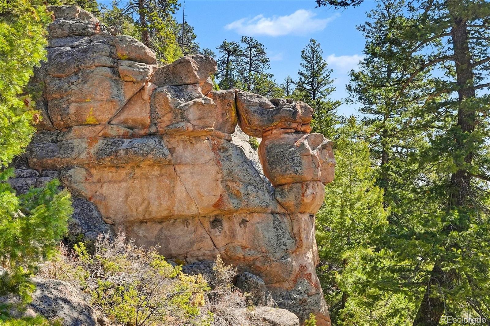 MLS Image #34 for 30851  pike view drive,conifer, Colorado